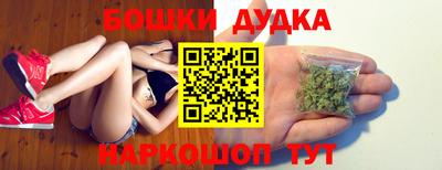 прущие грибы Кандалакша