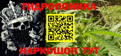 прущие грибы Кандалакша