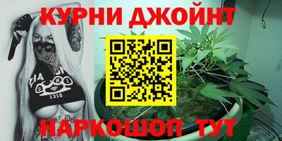 прущие грибы Кандалакша