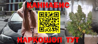 прущие грибы Кандалакша