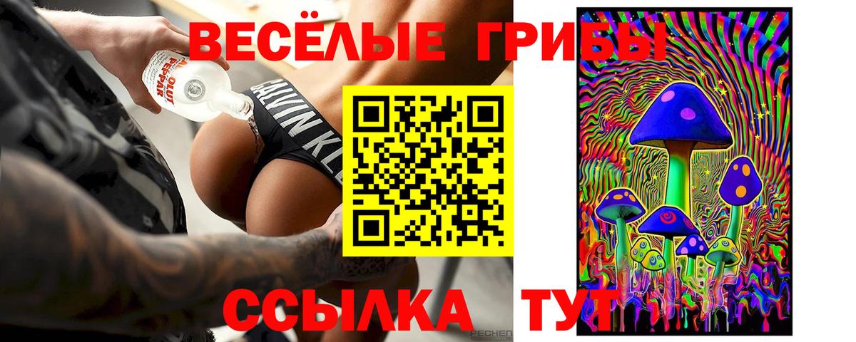 Псилоцибиновые грибы Psilocybine cubensis Кызыл